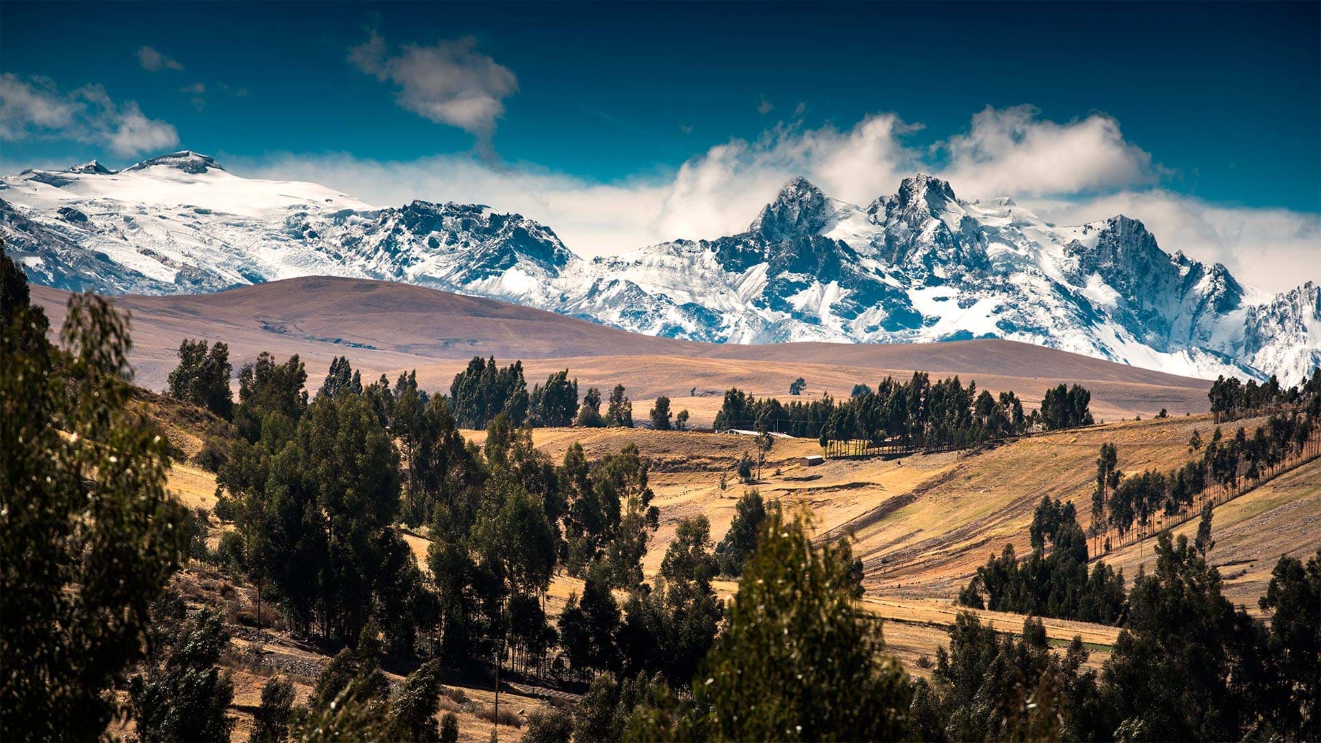   Blick auf die Cordillera Blanca