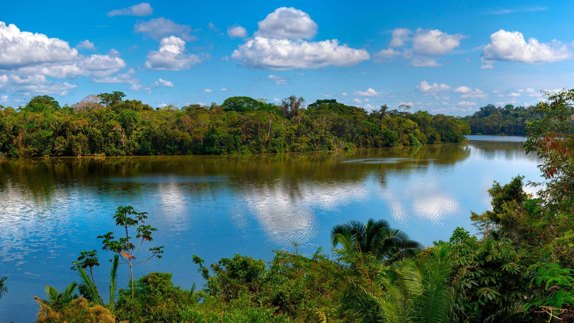 Tambopata Nationalpark