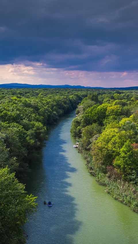 Amazon River