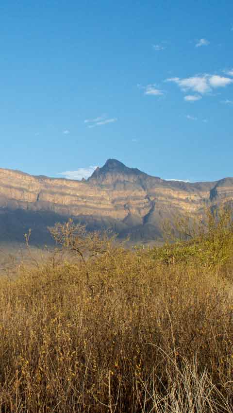 Chaparri Private Conservation Area