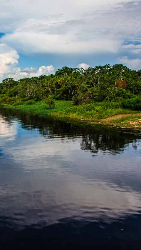 Pacaya Samiria National Reserve