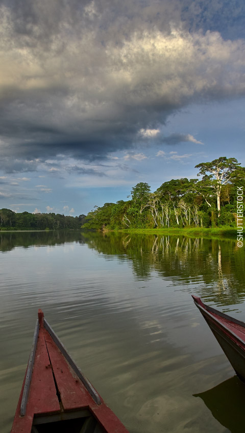 Beautiful lake in the Tambopata National Reserve