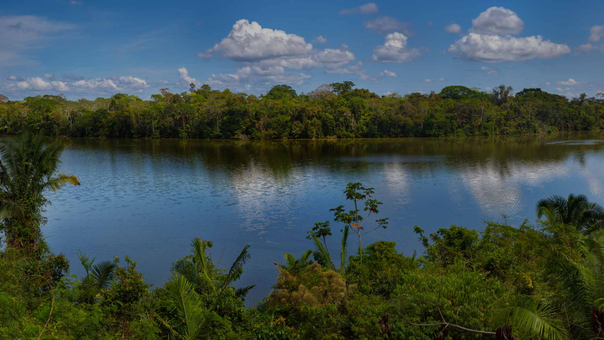 Tambopata National Reserve