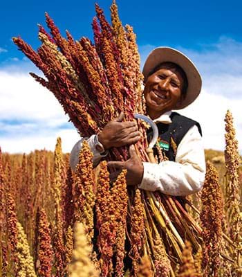 Dishes based on quinoa in Andahuaylillas