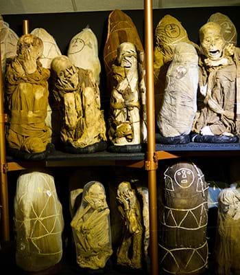 Visita la Sala de exposición Gilberto Tenorio Ruiz.