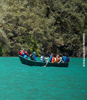 Disfruta de paseos en bote