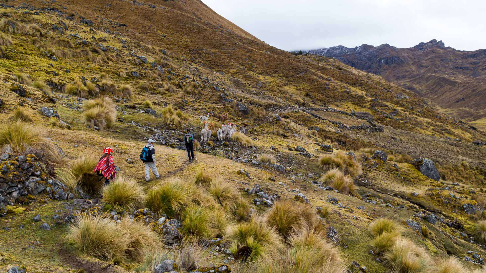 Lares En Cusco Per Travel algoritmo-de-tarea-leer-20-n-meros-e-imprimir-cuantos-son-positivos