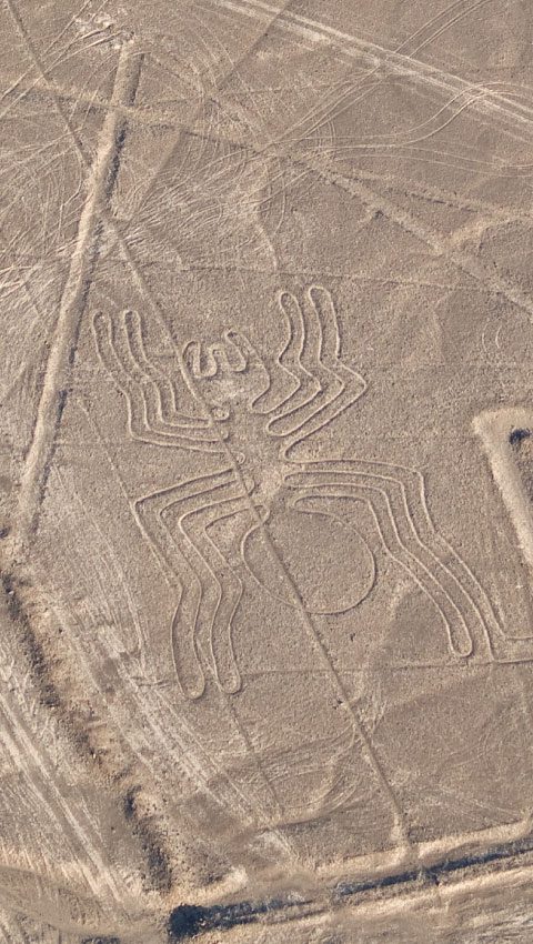 La Araña