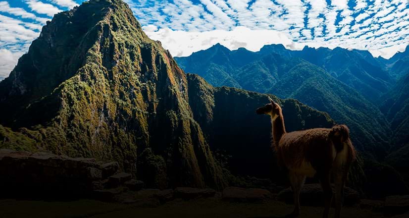Huayna Picchu