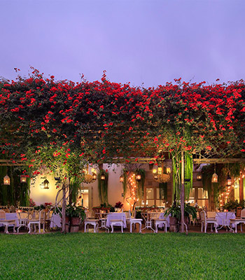 Disfruta lo mejor de la gastronomía peruana e internacional en su excelente restaurante, con vista a sus hermosos y coloridos jardines