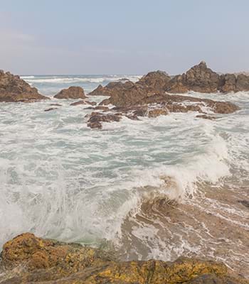Descubre la Playa Tronco de Oro, con su arena fina y aguas mansas