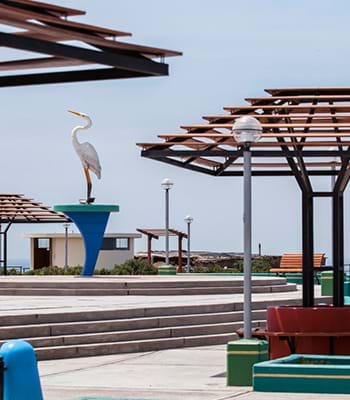 Pasea por el malecón de los Humedales de Ite.