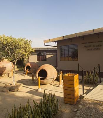 Disfruta de las visitas guiadas al museo de sitio, sala del Qhapaq Ñan y a la Huaca del Sol.