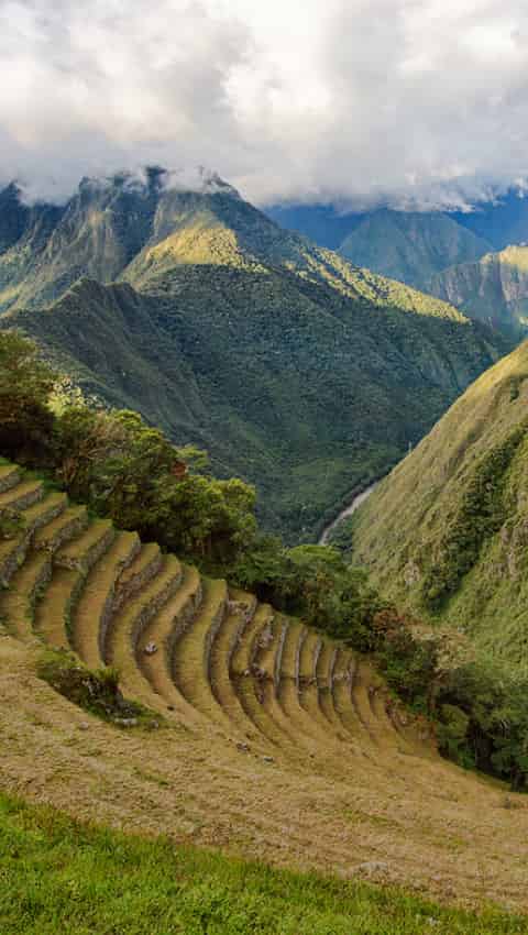 Wiñaywayna