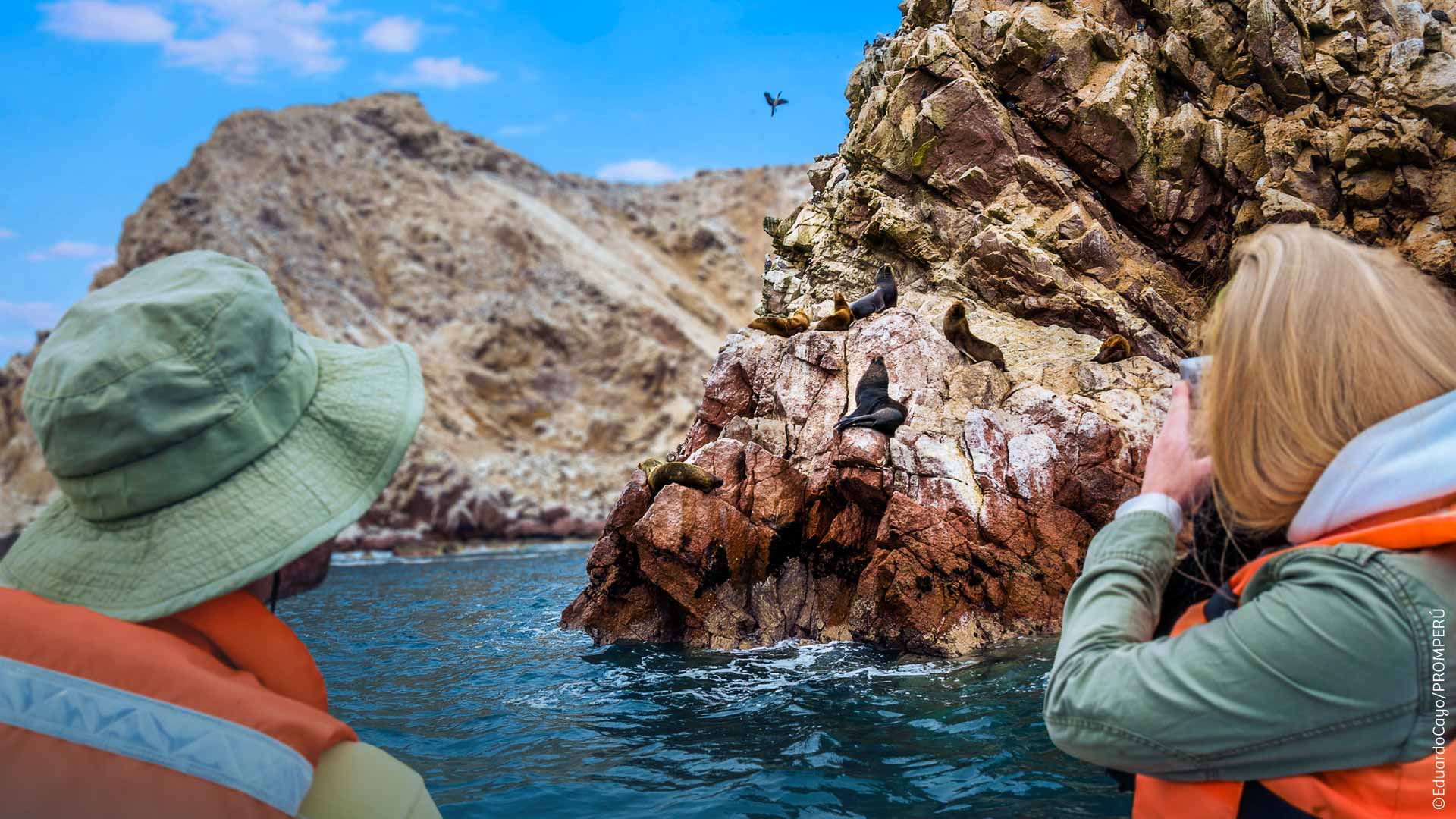 Turistas observando de cerca a los lobos marinos, Paracas.