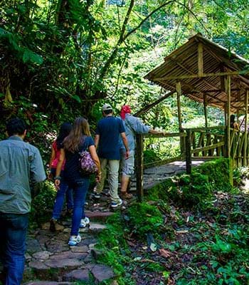 Realiza un interesante recorrido de avistamiento de aves. Crédito: Promperú
