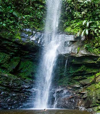 Recorre los senderos del Área de Conservación Regional Cordillera Escalera, donde se ubica la catarata. Crédito: PromPerú