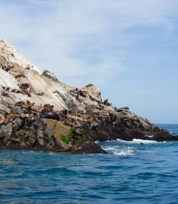 Navega por Islas Palomino, El Frontón, San Lorenzo o Cavinzas.
