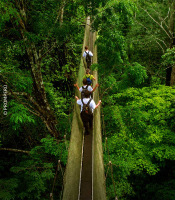 Caminatas diurnas por el Río Amazonas