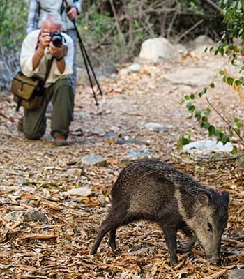 Finca Agroecoturística en la Reserva Nacional Chaparrí