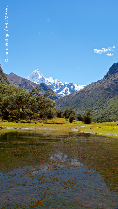 Trekking en Santa Cruz