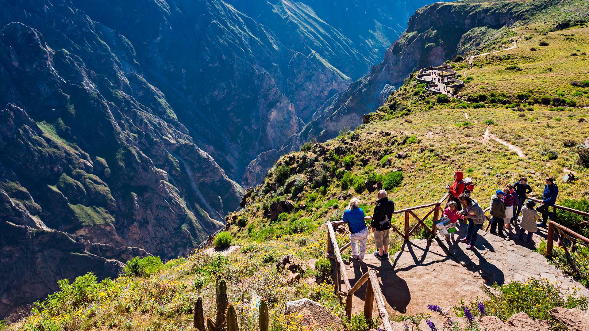 Cañon del Colca en Arequipa | Perú Travel