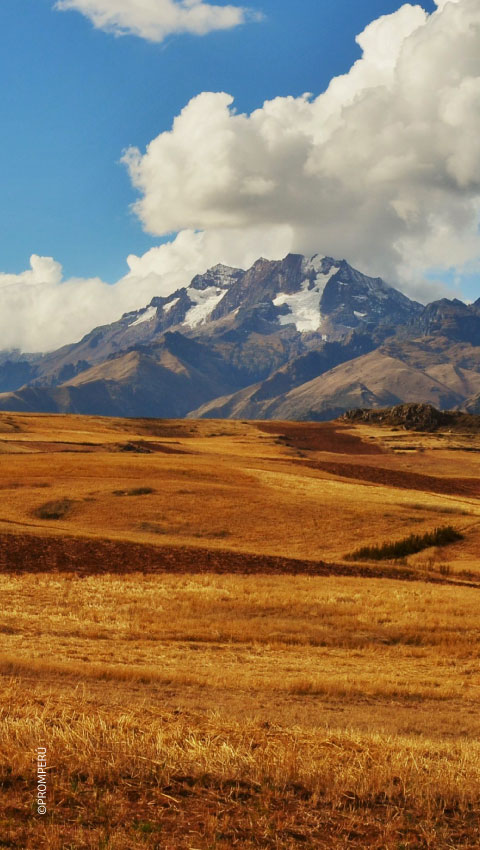 Randonnée vers la communauté de Raqchi dans la Vallée Sacrée