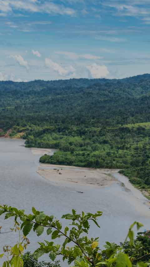 Parc National de Manu