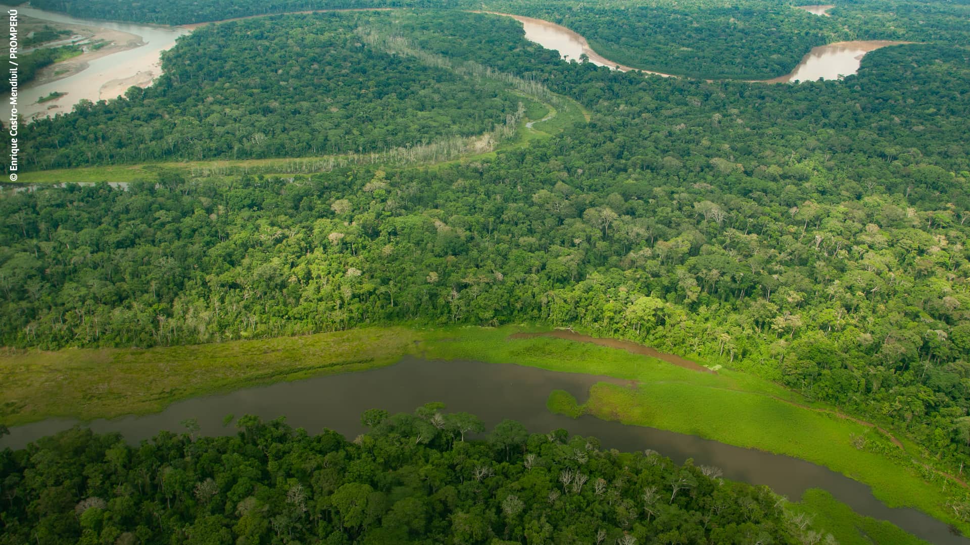 Vue aérienne du Parc national de Manú