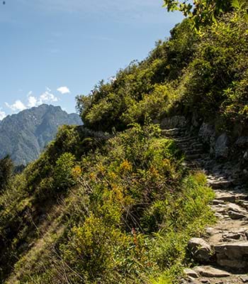 Vue d'une partie de la route Inca au Machu Picchu