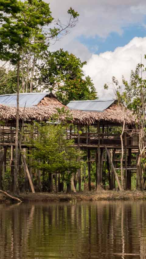 Amazon Rescue Center - CREA