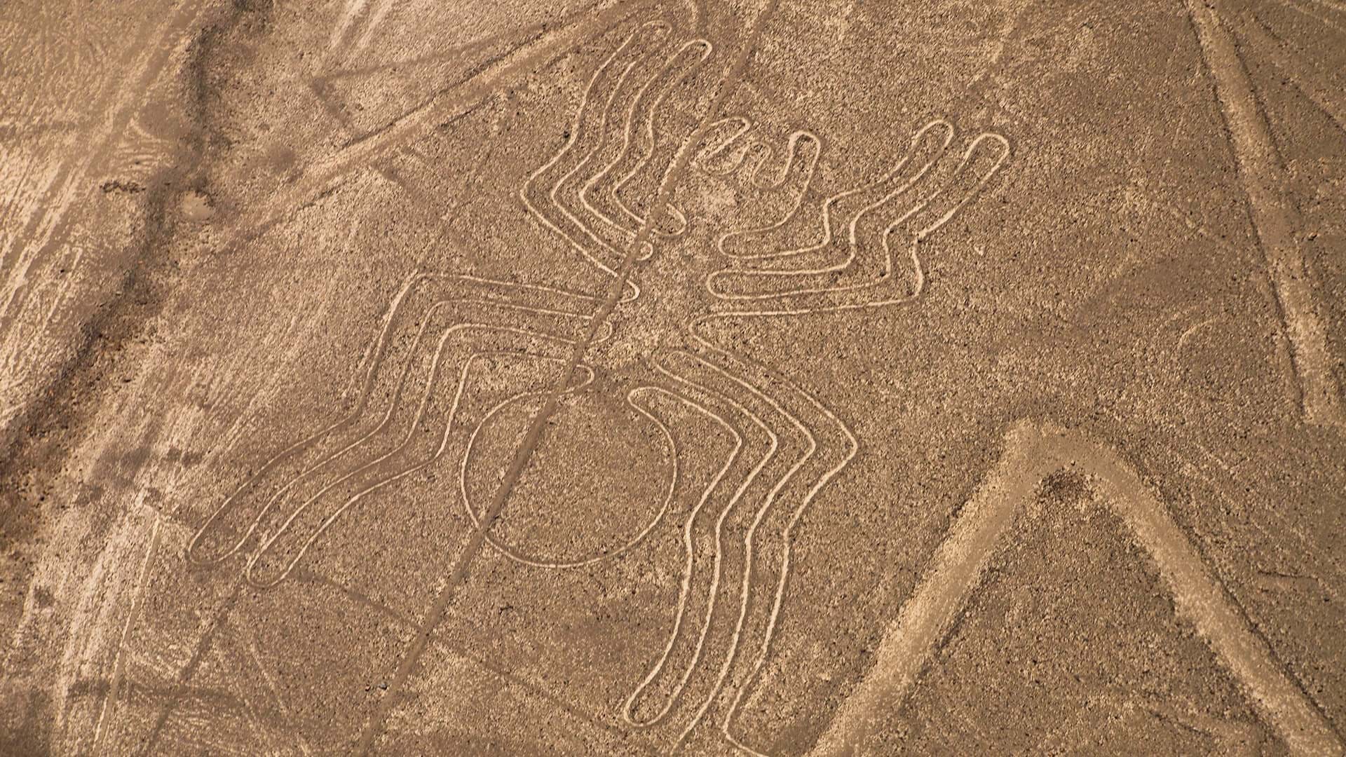 Figura La Araña (L'araignée