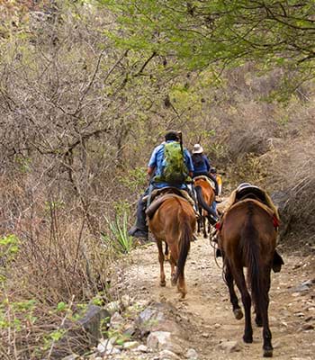 Passeggiata a cavallo a Chavín di Huántar
