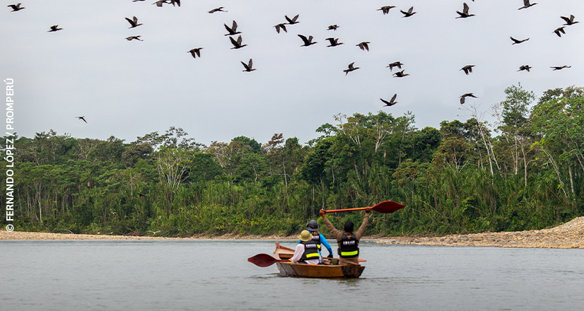 Parque Nacional del Manu.