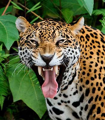 保護されている水生動物のリハビリの様子を学ぶ。