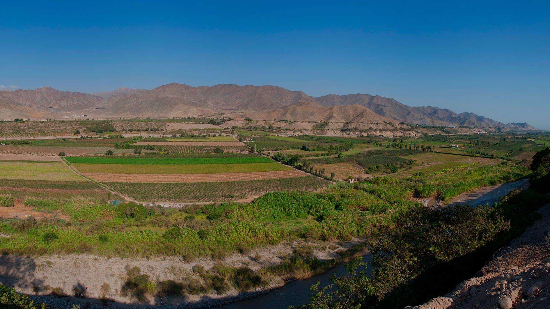 Azpitia: Vinos y Piscos en el balcón del Cielo