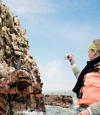Turista tirando fotos de leões marinhos nas rochas em Paracas