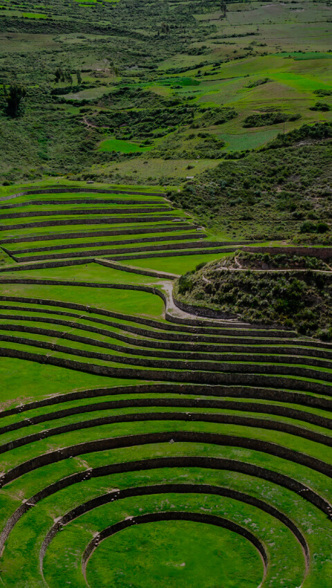 Plataformas de Moray no Vale Sagrado
