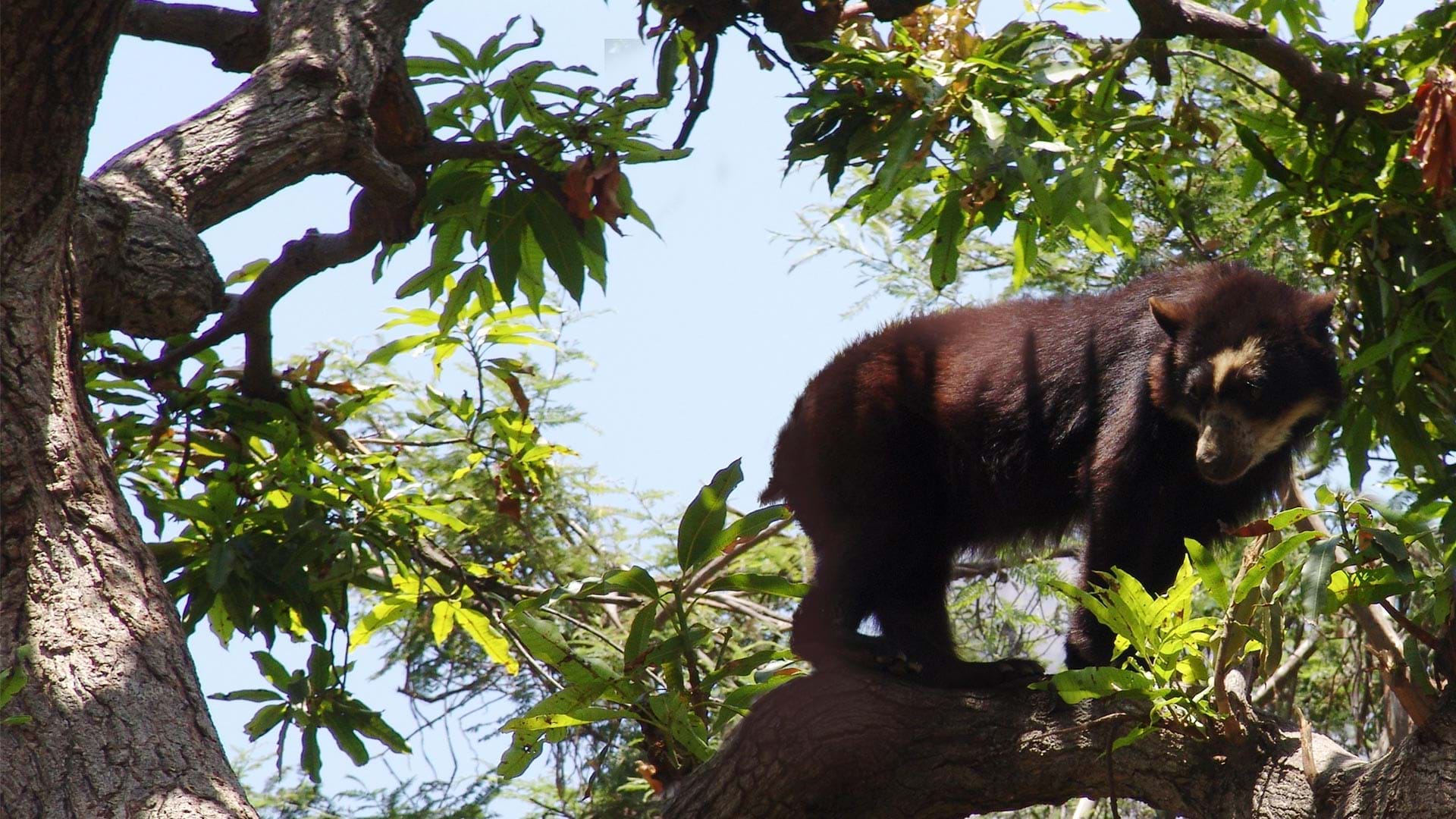 Reserva Nacional Chaparrí