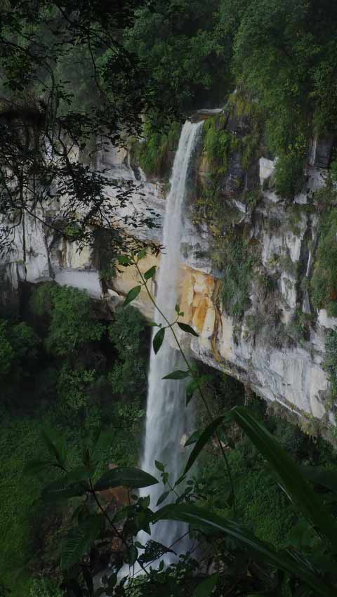 Catarata Yumbilla