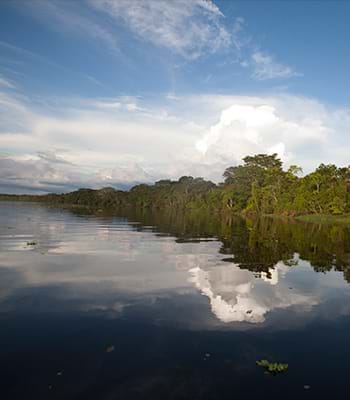 Turistas visitando a selva dos espelhos na Reserva Nacional Pacaya Samiria