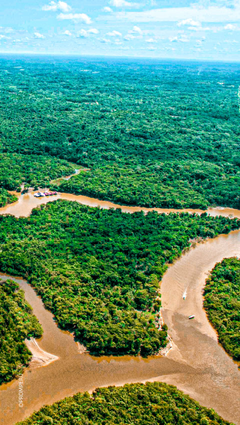 Luftaufnahme des Amazonasflusses