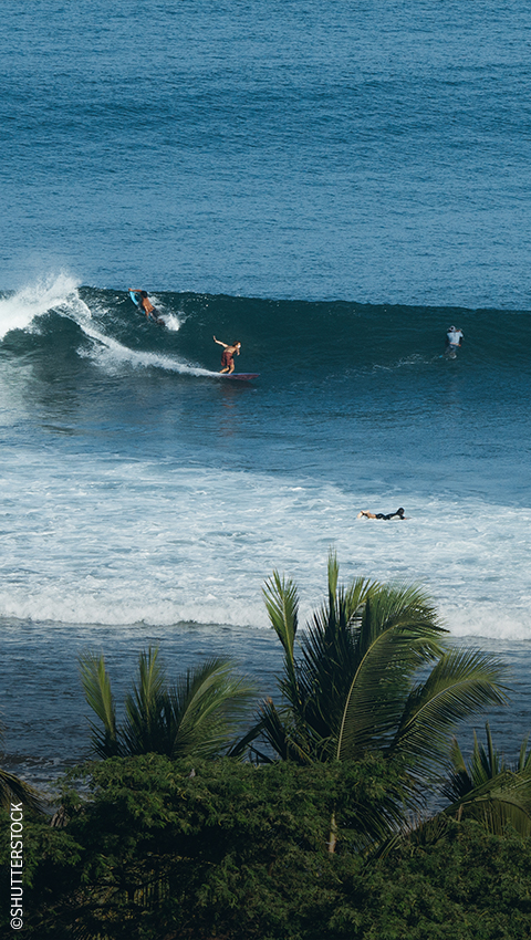 Hippocampus Aquarium, Piura Region