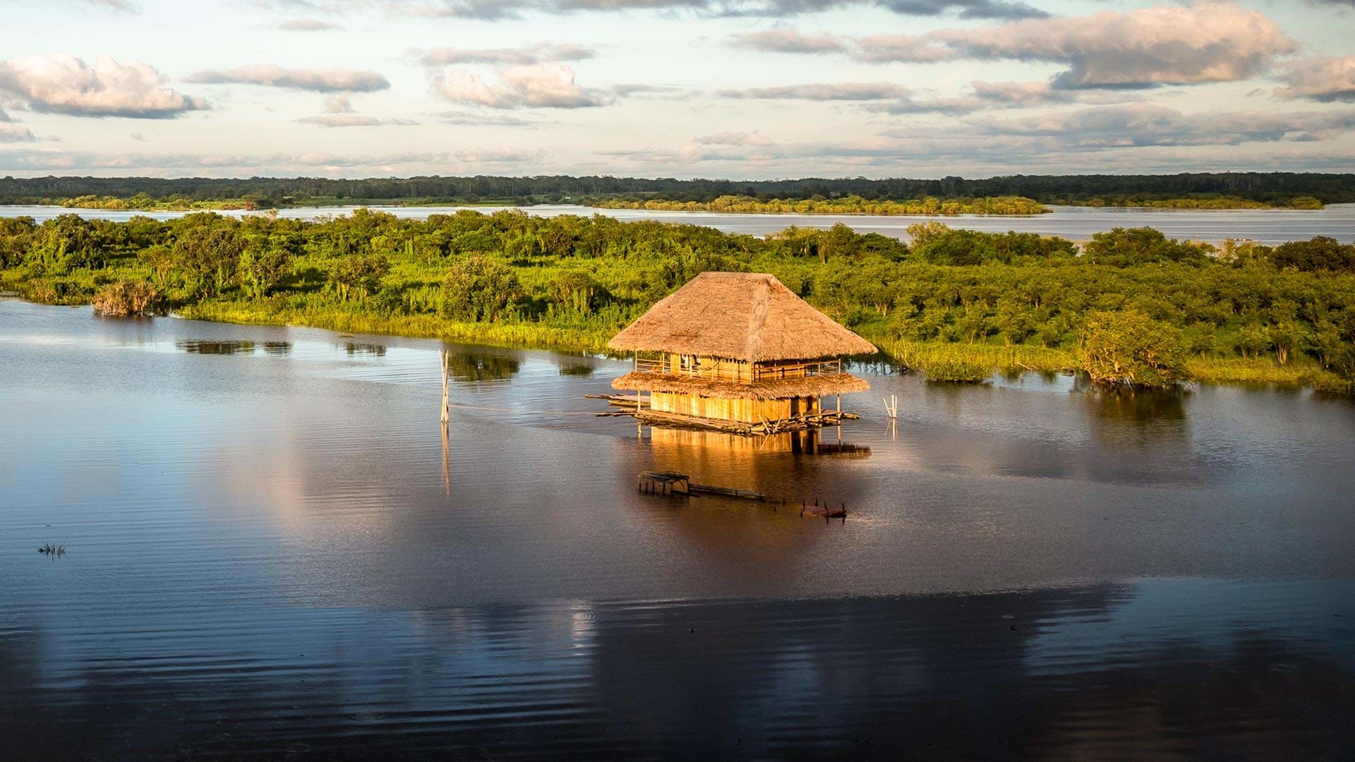 Loreto - Peru, River Amazon land