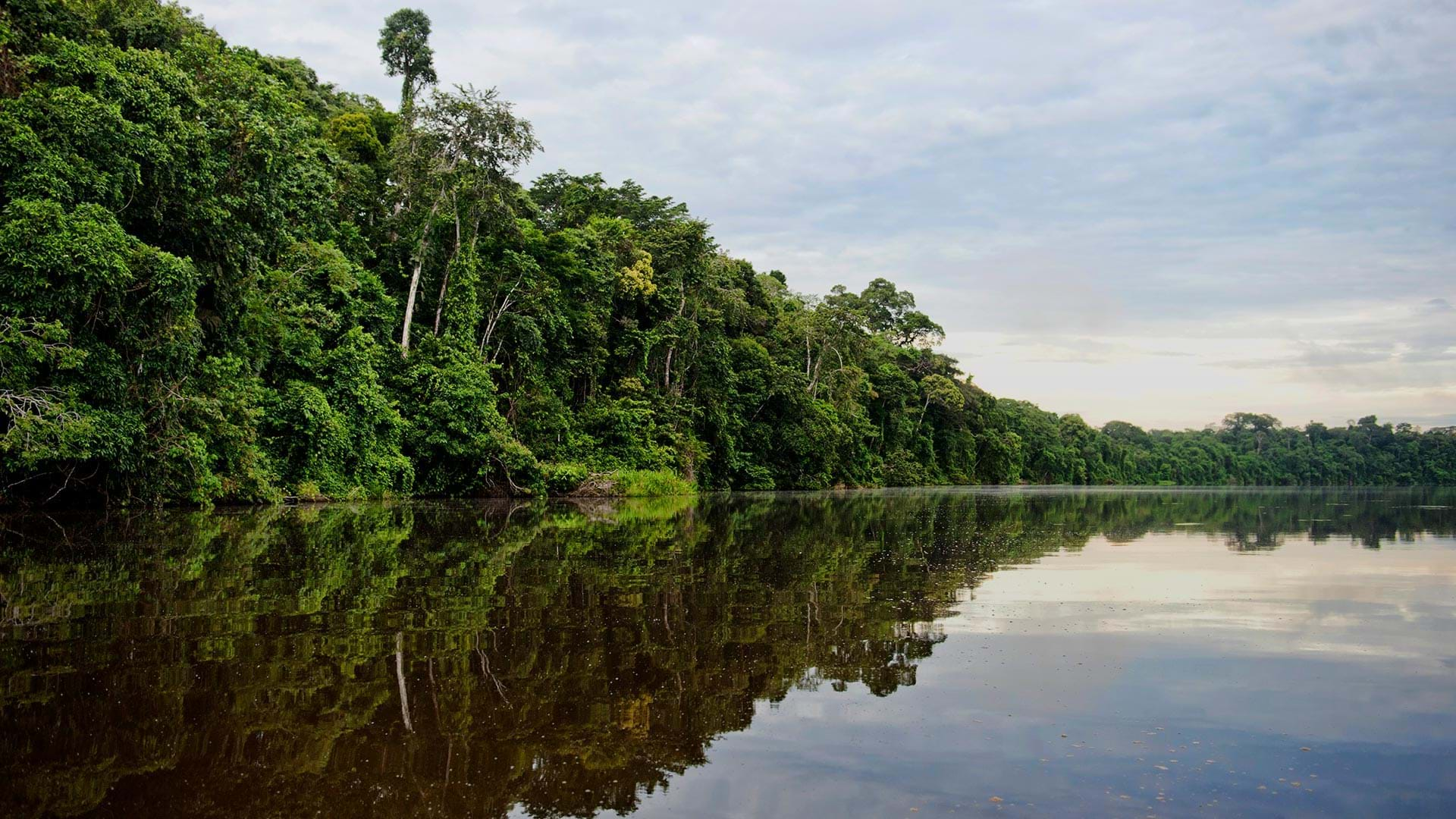 Tambopata, Province of Tambopata