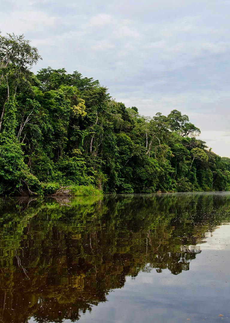 Tambopata, Provincia de Tambopata