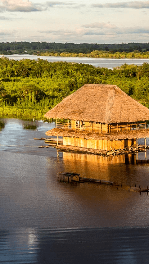 Rio delle Amazzoni, Provincia di Iquitos