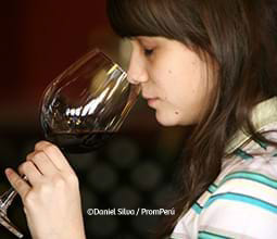 Touristische Rotwein-Probe Fundo Vista Alegre