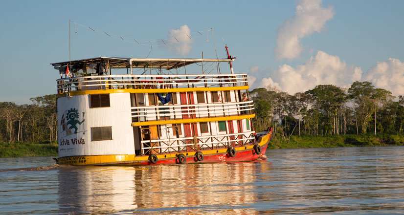 ferri-amazonas