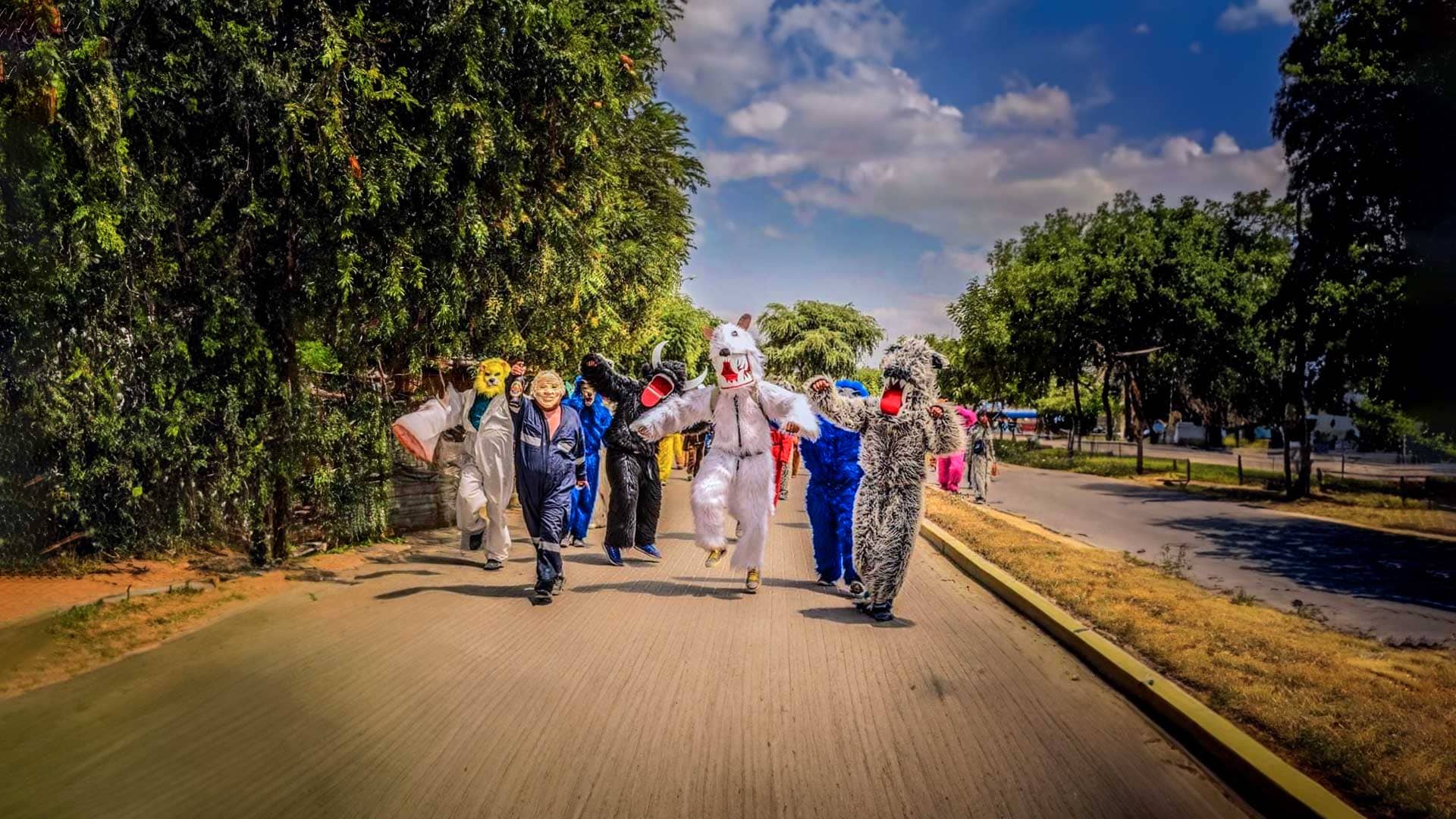 Festival de la Danza de Los Negritos y Las Pastorcitas